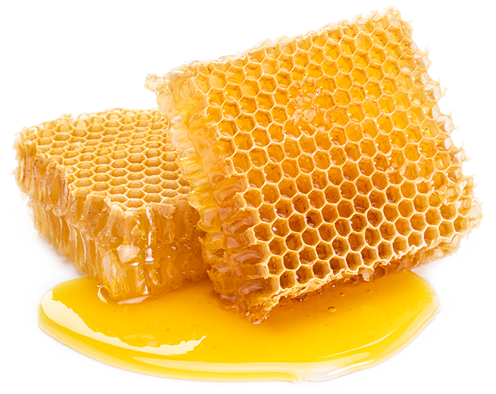 Pure and Organic Honey